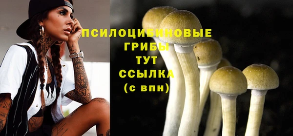 синтетический гашиш Абинск