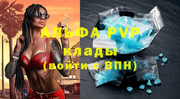 стаф Абаза