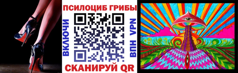 наркота  Энем  Псилоцибиновые грибы мицелий 
